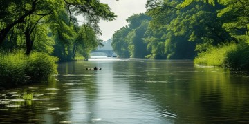 河道物业真的有权不让钓鱼吗？