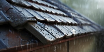 漏雨物业到底有没有责任？