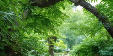 龙湖物业现在工资高吗？