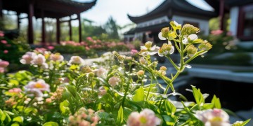 汀州花苑的物业名称究竟是什么？