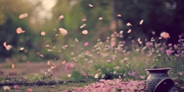 扔花盆物业会收费吗？