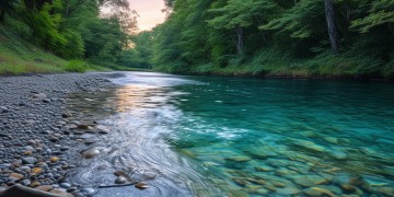 清河湾究竟是什么物业？