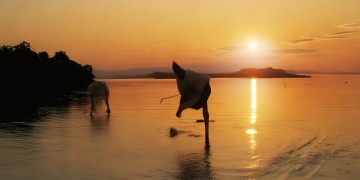 威海物业收费是预交吗？