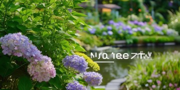 什么样的女生适合干物业？