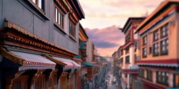 拉萨物业到底该管什么？