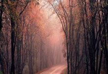 物业新年礼盒送什么好？