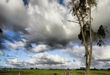 老小区为什么不涨物业费？