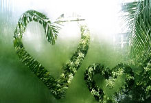 新联苑物业真的可靠吗？