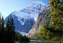 名门城是什么物业？