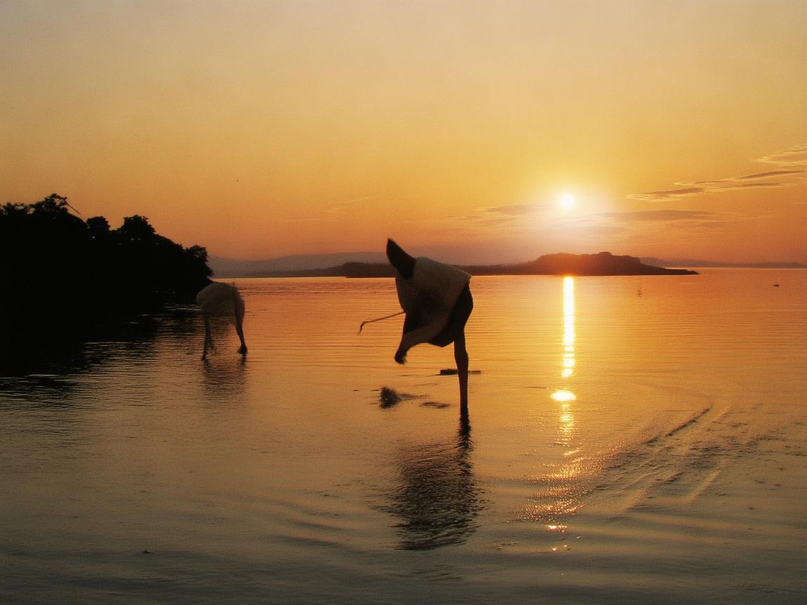 威海物业收费是预交吗？