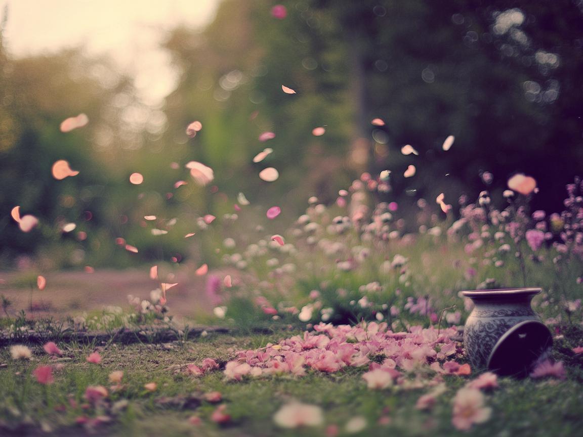 扔花盆物业会收费吗? 扔花盆物业会收费吗?